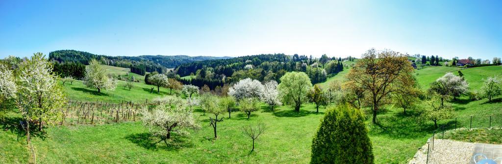 Golf & Thermenland Sonnenpension Fruehstueckshotel Burgauberg Stegersbach Exterior foto